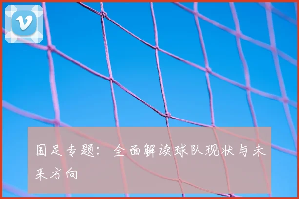 国足专题：全面解读球队现状与未来方向